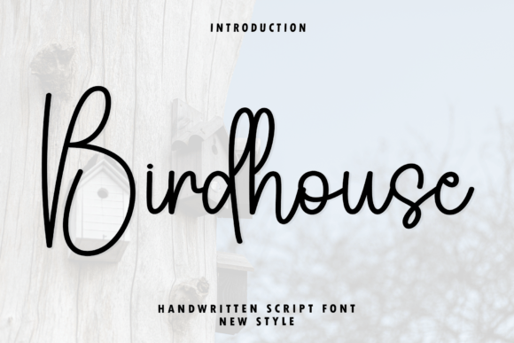 Birdhouse: The Modern Script Font for Elegant Design